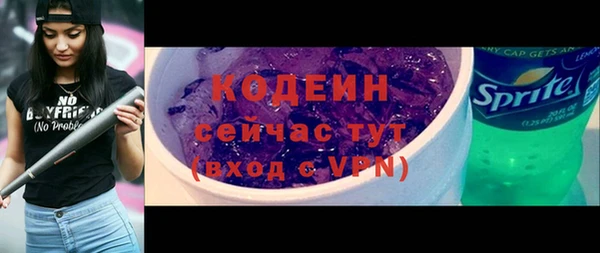 мяу мяу кристалл Гусь-Хрустальный